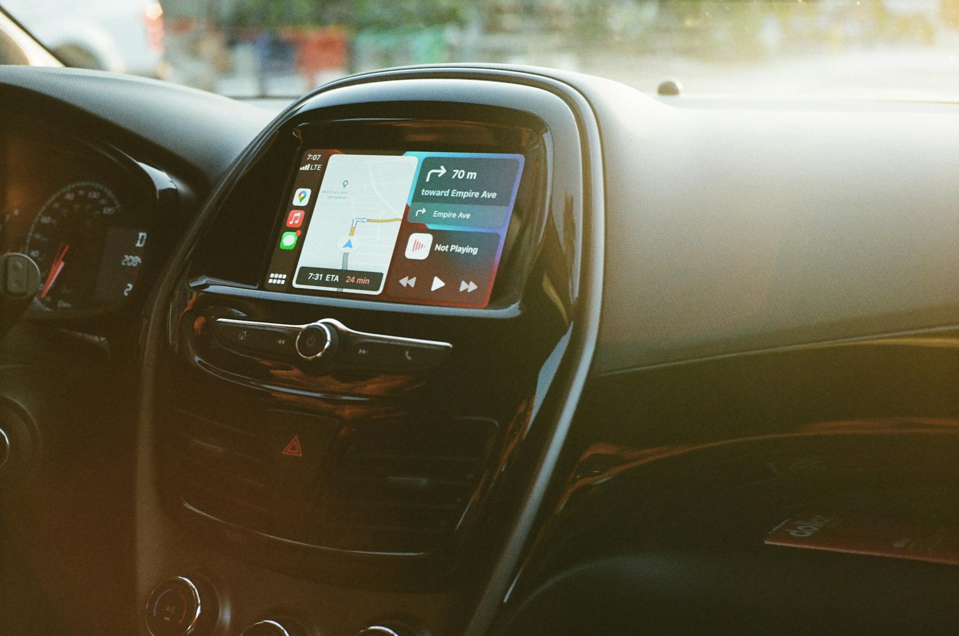 Chat portant un petit collier GPS en extérieur